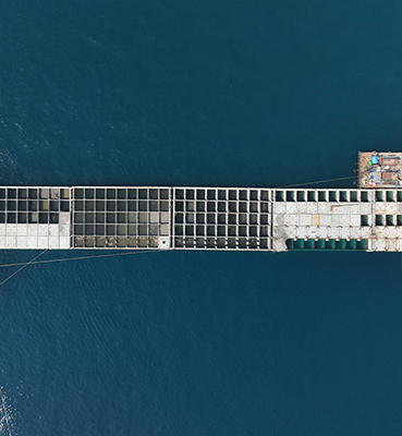 Gallery 21 Gallery 21